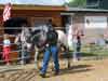 Appaloosa Horse Ranch v Pardubicch